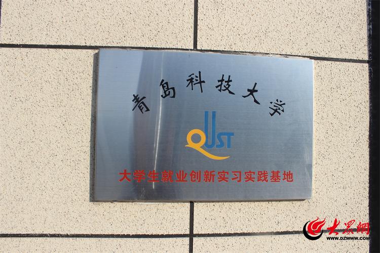 米乐平度市南村镇：优化营商环境走在前 企业不断扩大再生产(图3)